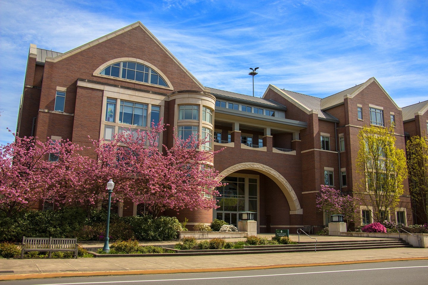 Law school spring