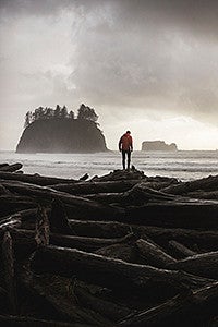 figure standing on driftwood looking at stormy seas