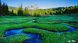 A serpentine stream meanders through a green meadow in the Three Sisters Wilderness of Oregon.