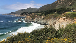 Sunny coastline with jutting cliffs blanketed in wildflowers
