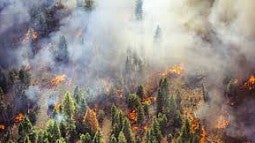 An Oregon forest burns in the 2024 Durkee fire