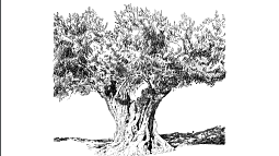 Sketch of a tree by comic artist Omar Khouri