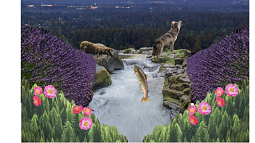 Collage of flora and fauna by student project team