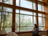 Student looking out the window in the John E. Jaqua Law Library.