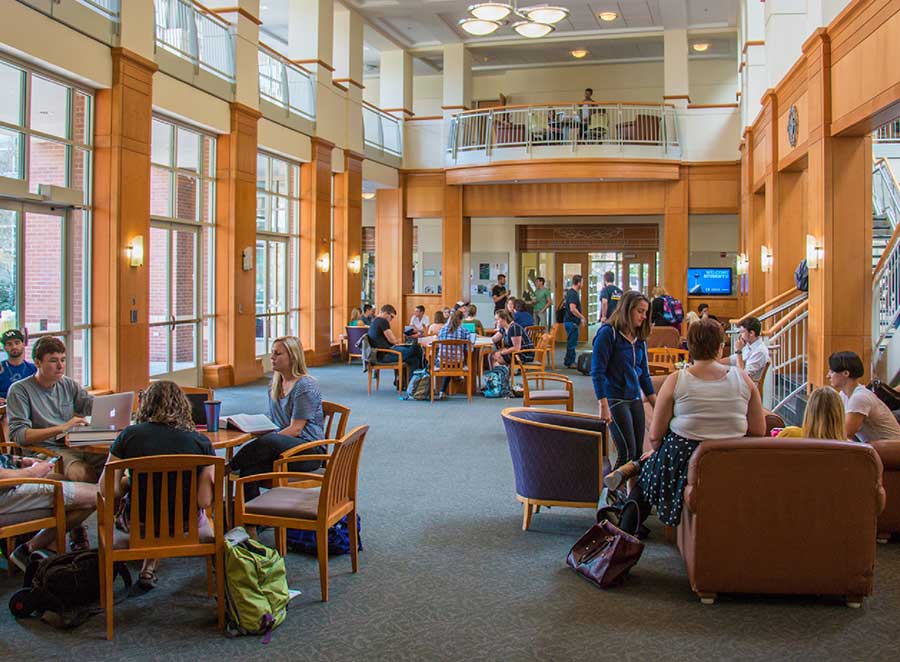 A naturally lit open space with warm wood accents is full of law students interacting.