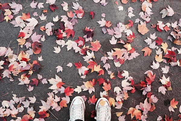 Feet covered by red leaves
