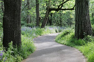 a smooth path winding through trees and green space