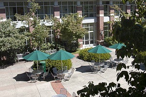 looking out into the sunny law school courtyard