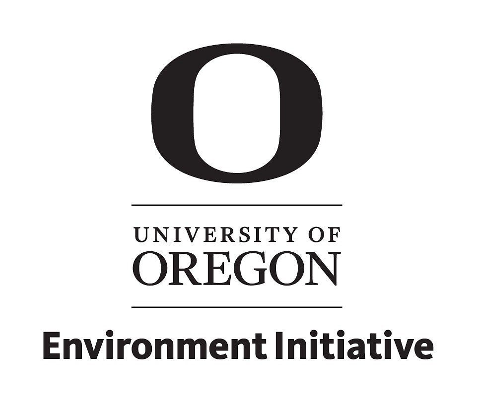 Environment Initiative logo
