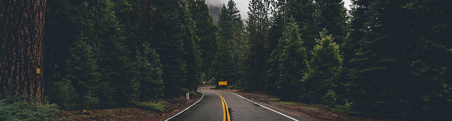 gray asphalt road towards trees