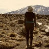 Researcher standing on a rock looking towards mountains